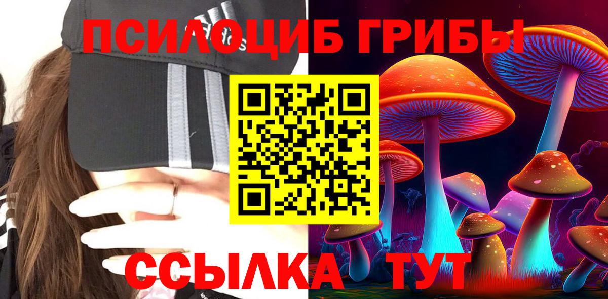 Псилоцибиновые грибы мухоморы Карасук