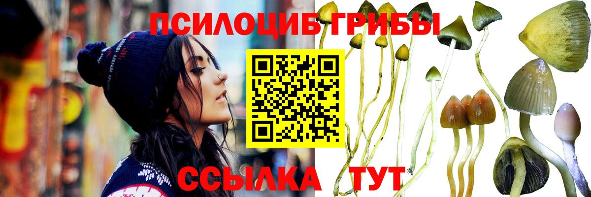 Псилоцибиновые грибы Cubensis  Вход с VPN  магазин продажи   Карасук 